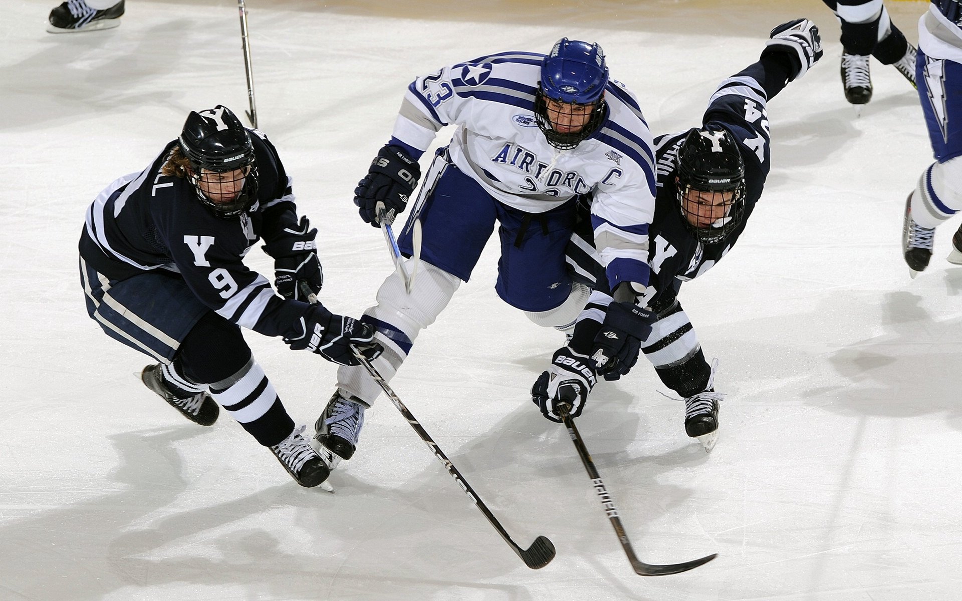 篮球运动员训练负荷动态监测技术应用，篮球运动训练负荷分析