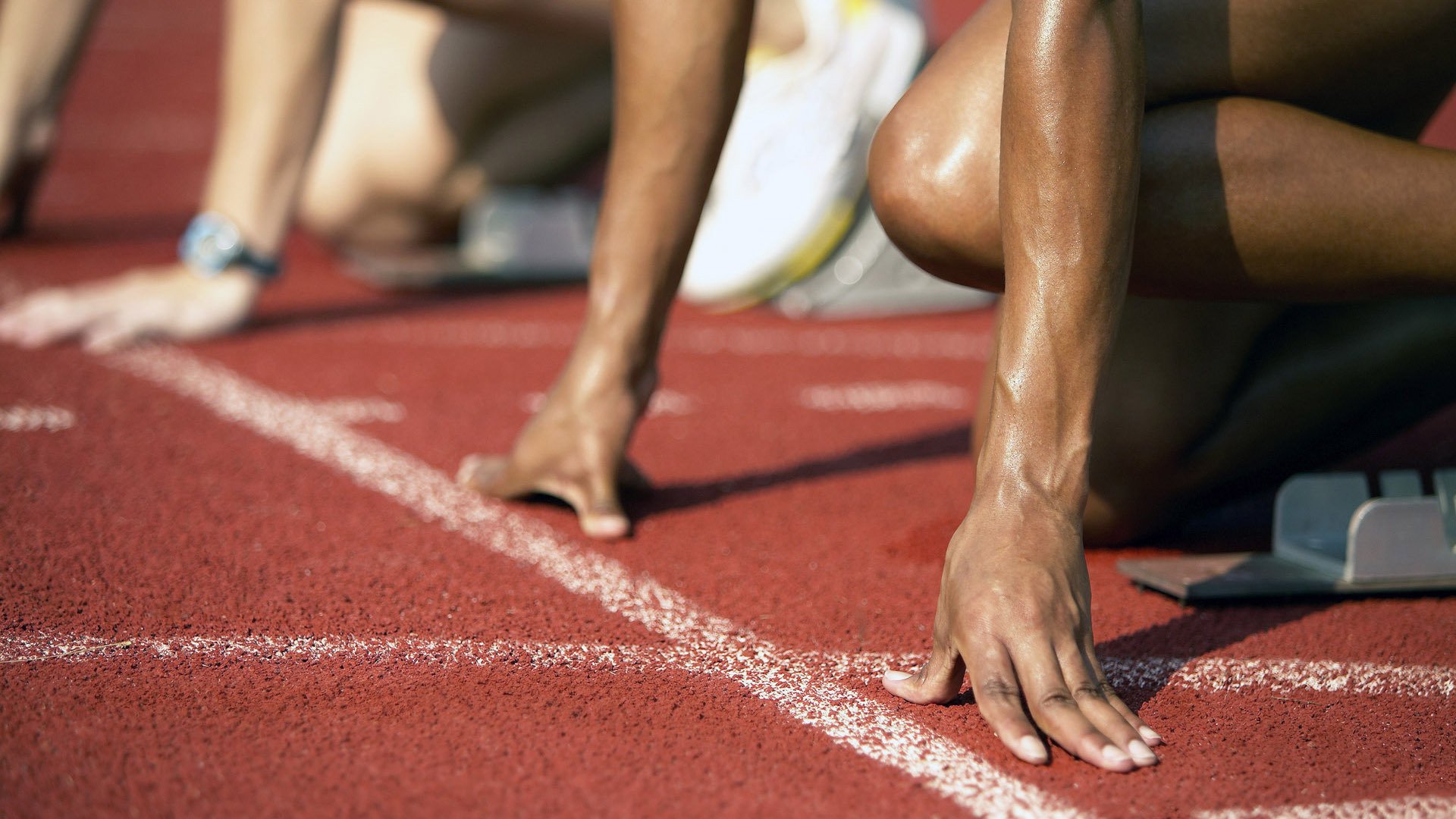 专家点评：专业视角，解读比赛，竞赛专家点评深入精彩纷呈