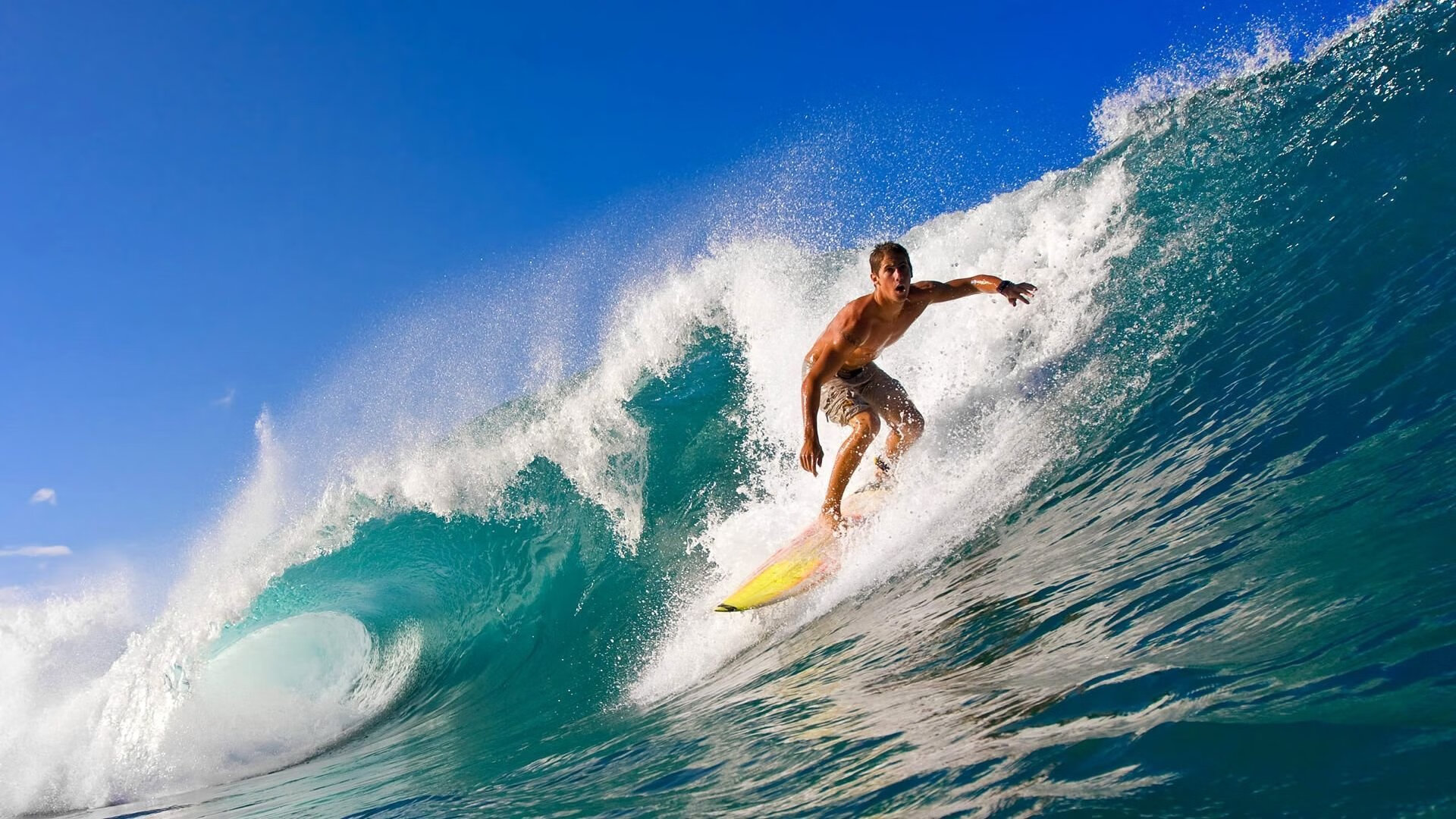 诺尔·维茨在七项全能中获得铜牌，诺维茨基组合