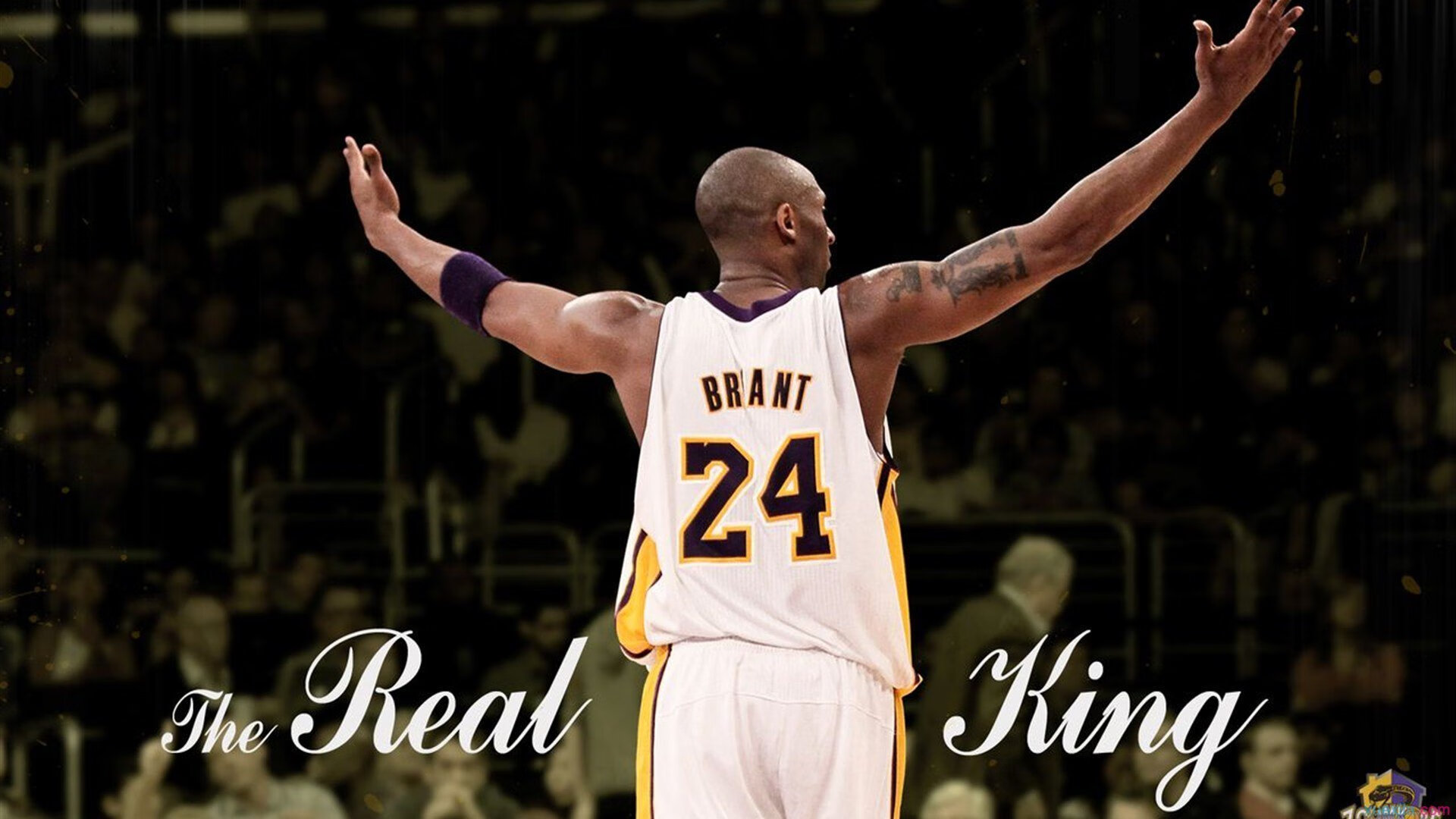 超级夜赛：灯火辉煌的速率盛宴，1111超级夜